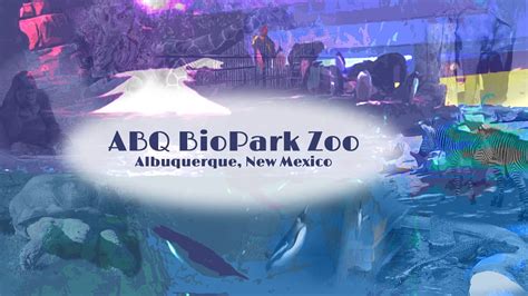 Zoo albuquerque nm - Albuquerque, NM 87104. ( Sawmill area) Typically responds within 3 days. $54,080 - $60,320 a year. Full-time. Monday to Friday + 2. Easily apply. Ability to translate marketing campaigns and other marketing content into Spanish. Manage overall marketing department budget and specific earned revenue….